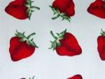Red Strawberry Printed Cotton Canvas / Anti Dirt Baby Cotton Fabric