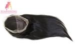Straight Texture Full Lace Human Wigs , 100% Virgin Human Hair Hair Swiss Lace