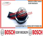 BOSCH DRV Valve 0281002829 Control Valve 0281002829 For DODGE JEEP HYUNDAI KIA