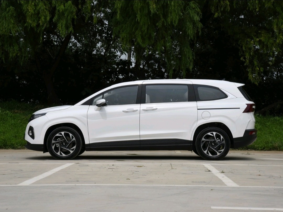 Hyundai Custo 2021 380TGDi Luxury Version DLX Large Mid Size MPV Max 173.6kw