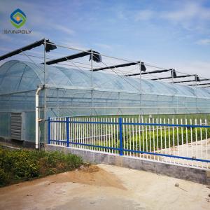 Wholesale Flowers Planting Clear Film 9m Multi Span Greenhouse Sturdy Stable from china suppliers