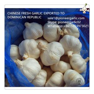 Wholesale 2018 Fresh China Garlic Price Professional big size garlic with low price from china suppliers