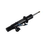 37116863173 37116863174 Air Suspension Shock Absorber Air Strut For BMW X5 F15