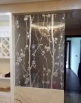 Versatile Enamelled Glass Sheets Highly Resistant Glass Mutifunctional