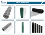 Corrosion Resistance Galvanized Welded Wire Mesh Roll for Bird Cage Length 5-50m