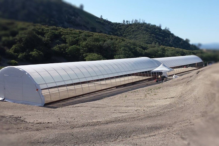 Polythene PE Film Greenhouse Muitl Span Strong Applicability 200 Microns