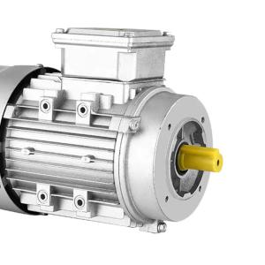 Wholesale Ac 3 Phase Induction Motor Squirrel Cage Double from china suppliers