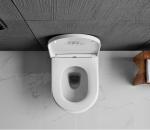 Watermark Wall Hung Toilet 530x364x345mm Portable Lavatory Sanitary Ware