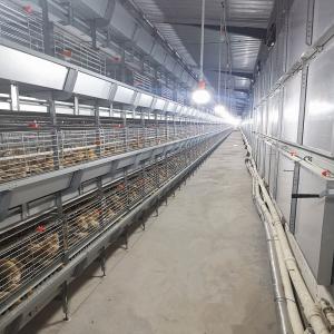 Wholesale HDG Chicken Cage Equipment , 3 Or 4 Layers Poultry Battery Cage from china suppliers