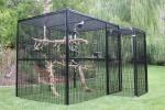 Durable Outdoor Aviary Cage , Metal Bird Cage Black Or Dark Green Color