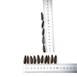 Amazon hot sale Wholesale best Quality China Manufacturer Sunflower seeds 363