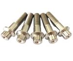 Universal Year 2021 M8X32mm Colorful Titanium 12 Point Flanged Head Bolts for
