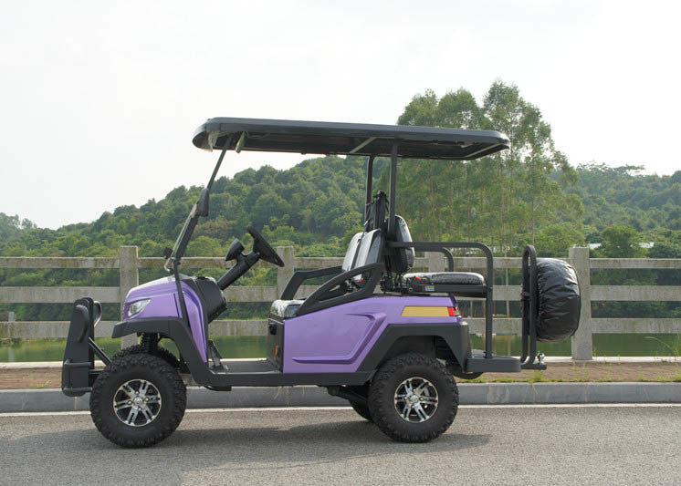 Aluminum Chassis 4 Seater Golf Buggy Green Color With Electric Motor CE Certificate