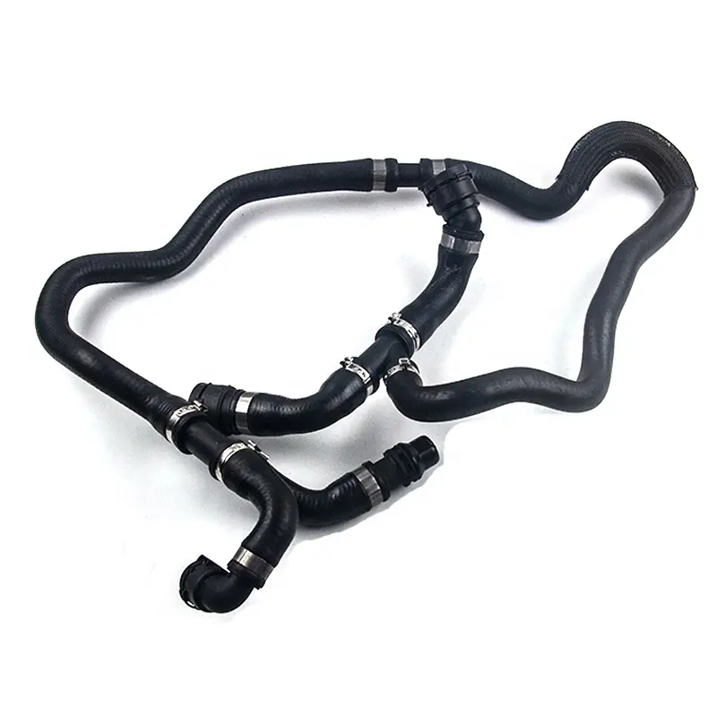 Standard Coolant Hose Return Pipe Return Hose for BMW OE 17127575342 30 Years Experience