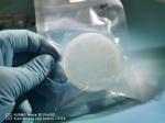Polished DSP 2inch 3inch 4Inch 0.35mm 4h-semi SiC Silicon Carbide Wafer