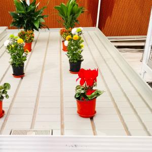Wholesale Aluminum Alloy Galvanized Steel Frame Greenhouse Rolling Tables Total Length＞ 7.5 from china suppliers