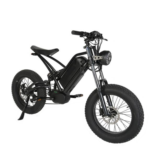 Down Tube Battery Position Fat Tire 1000W MTB Off Road Dirt Ebike Electric Bike