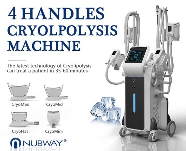 Professional best price lipocryo fat freezing device cryotherapy slimming