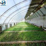 Customized Size Film Cover The Ultimate Solution for Agricultural Stretch Film