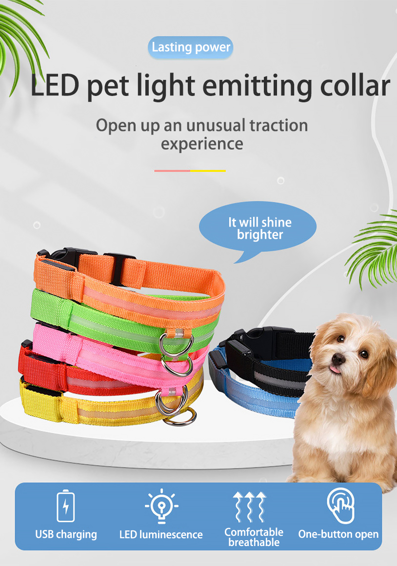 Hundehalsband Lighted Dog Collars Rechargeable Nylon XS XL LED Pet Collar