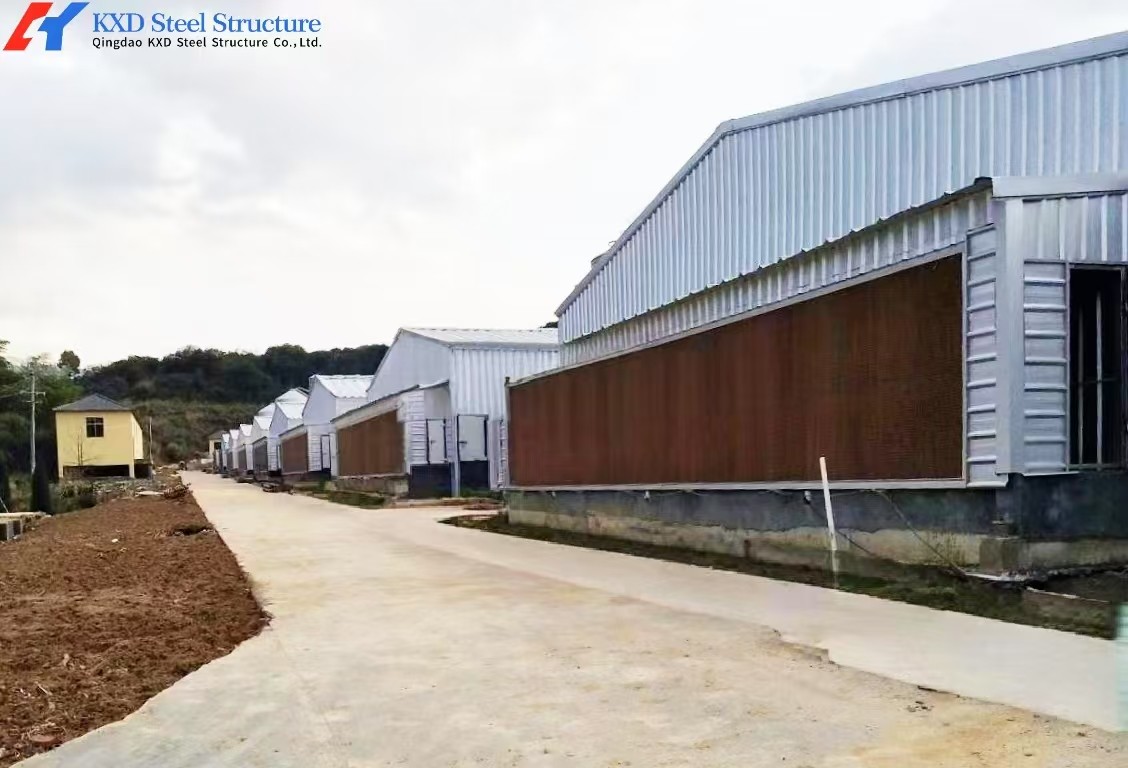 Broiler Poultry Prefab Houses Steel Structure Fully Automated Chicken Farming Equipment