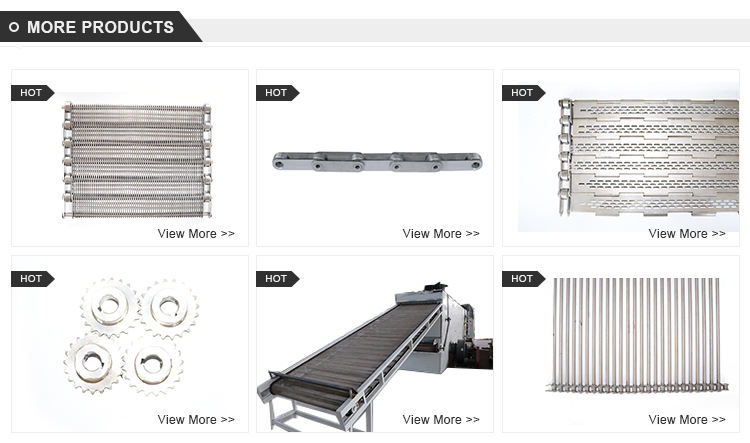 SS304 Stainless Steel Wire Mesh Conveyor Belt Slat Chain