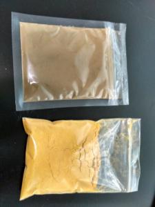 Wholesale 100% natural Sea buckthorn berry powder extract flavonoids （UV）≥10%powder from china suppliers