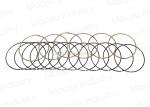 Montero Sport 3000GT Diesel Engine Piston Rings , Hastings Pistons Rings