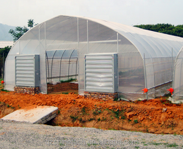 2.5-5M Height Tomato Hydroponic High Tunnel Agriculture Greenhouse with Film Cover