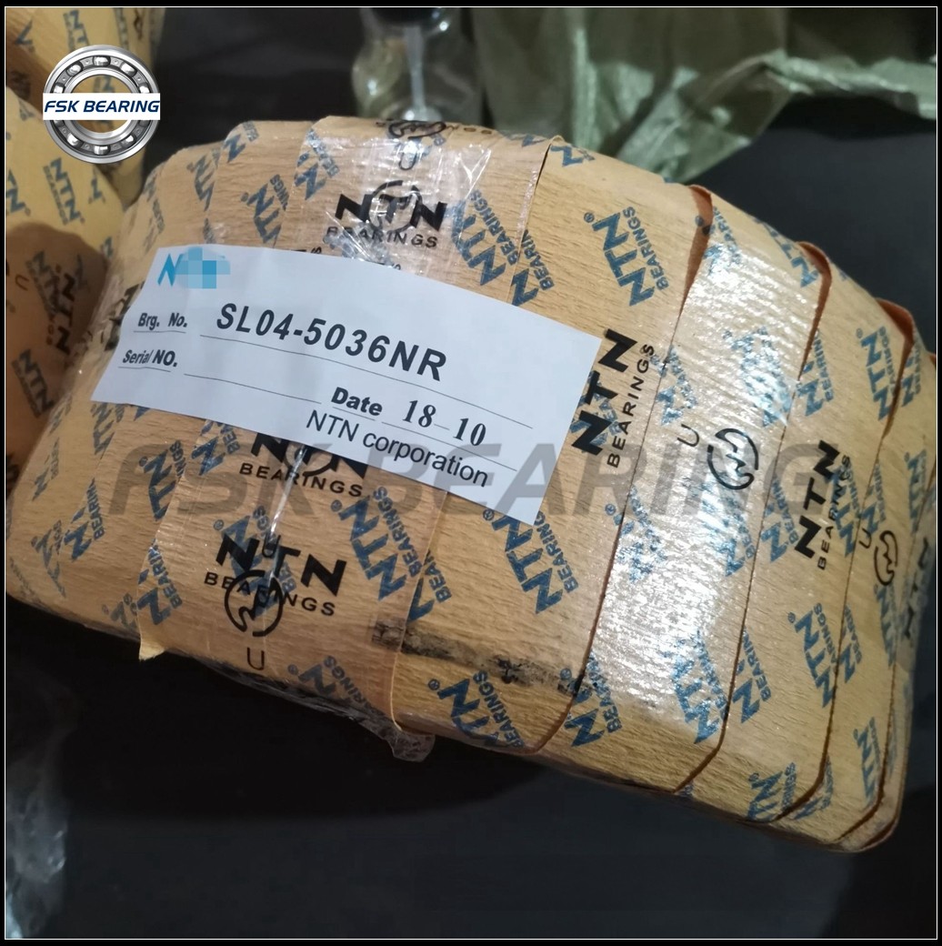 FSK NNF5060 ADA-2LSV Cylindrical Roller Bearing Double Row 300*460*218 mm Sealed Type