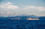 International Sea Freight Forwarding DDP From China To USA / UK