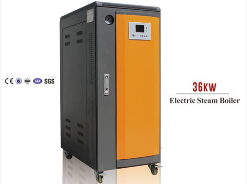 36KW Steam Generator for Steam Shrink Tunnel with CE and SGS certificate