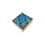 Eternal Moss Wall Decor , Modern Style Real Natural Moss For Crafts