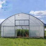 Top Ventilation Window Vegetable Hoop Green House Single Span Greenhouse Film