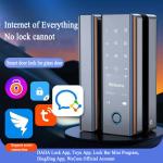 Intelligent Password Fingerprint Tuya WiFi Door Lock for Home Hotel Apartments
