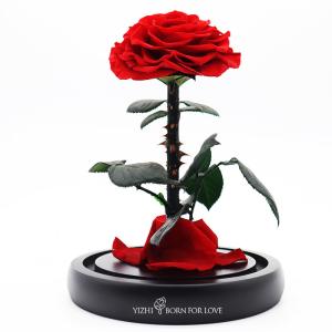 Wholesale Preserved 14*14*22CM Long Stem Glass Roses For Wedding from china suppliers