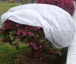 Polypropylene NonWoven Fruit Tree Protection Bags 18gsm