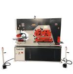 Q35Y-40 Hydraulic Combined Punching