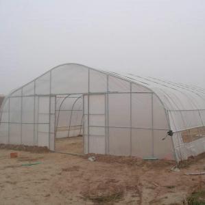 Wholesale Hot Sale High Tunnel Plastic Single Span Greenhouse Agriculture For Vegetable Farm from china suppliers