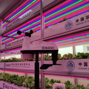 Wholesale 49000PPM PVC Greenhouse Weather Station Greenhouse Humidity Controller from china suppliers