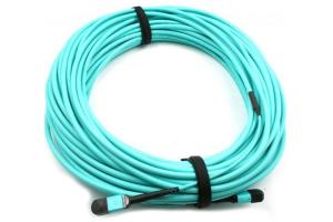 Wholesale 40G 100G SFP Female To Female MPO MTP Cable 24 Core OM4 MTP Cable from china suppliers