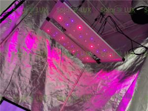 Wholesale 650Watt Seoul 395nm Osram 730nm 4x4 Led Grow Light from china suppliers