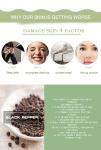 5ml Black Pepper Essential Oil Bulk Benefits Skin Nourishing MSDS OEM