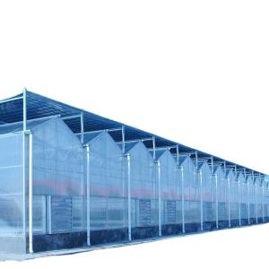 Wholesale Main Structure Hot Galvanizing Aluminum Steel Prefabric Green House for Tomato Growing from china suppliers
