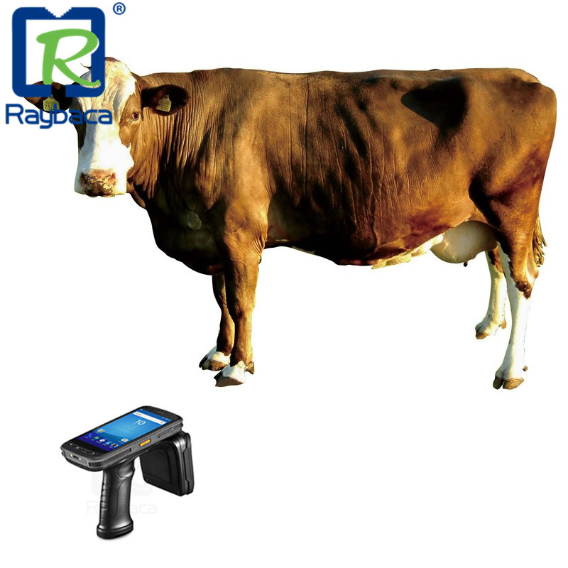 Handheld ABS UHF Rfid Reader Match With Management System