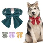 Pet collar with bowknot decoration for festival