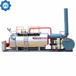 High Efficiency Natural Gas Fired Steam Boilers For Food Sterilizer Autoclave
