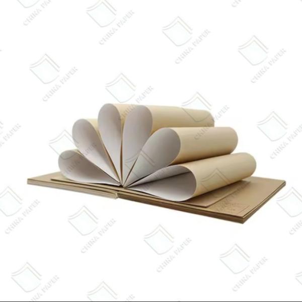 110-235gsm Hot Sale White Top Testliner & Brown Kraft Paper Competitive Price