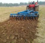 Three Point Mounted Farming Equipment 1BQX Series Mounted Light-Duty Disc Harrow