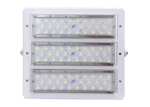 Wholesale RGB Outdoor LED Flood Lights Meanwell Driver Lumileds 5050 IP66 100 Watt TBD from china suppliers